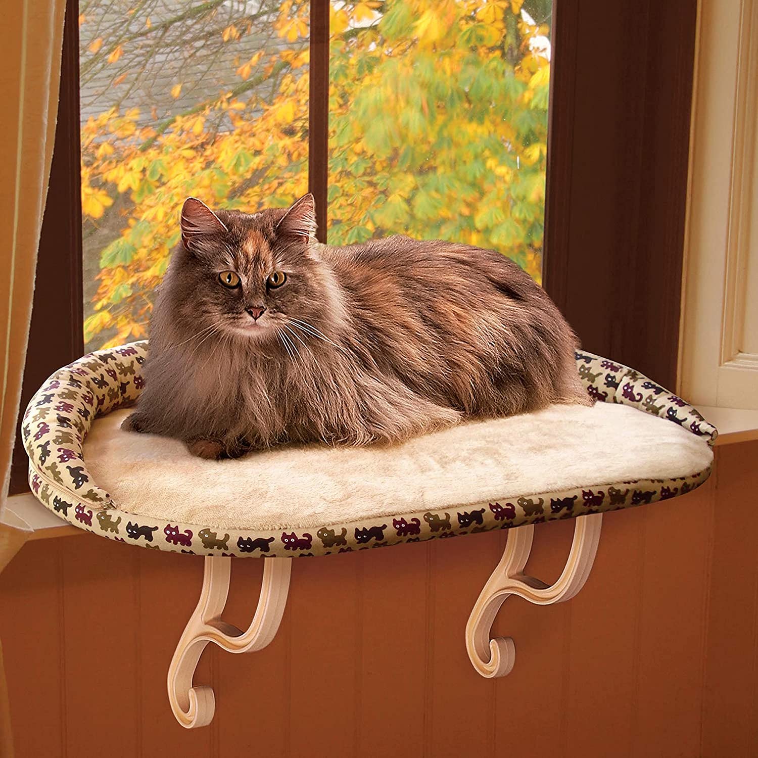 Cat Window Perch for Large Cats